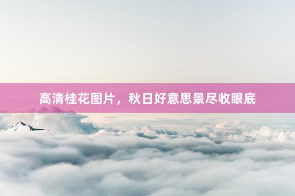 高清桂花图片，秋日好意思景尽收眼底