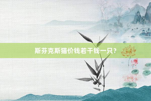 斯芬克斯猫价钱若干钱一只？