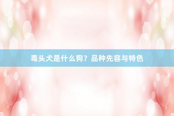 毒头犬是什么狗?品种先容与特色