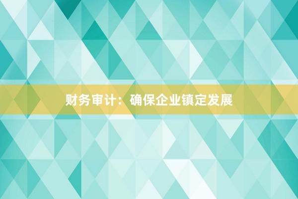 财务审计：确保企业镇定发展