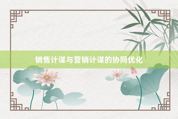 销售计谋与营销计谋的协同优化